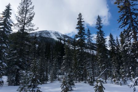 2017-03-07-Ski-Trip-2017-194.jpg
