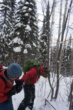 2017-03-07-Ski-Trip-2017-196.jpg