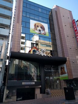 2018-02-06-Tokyo-037.jpg