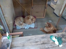 2018-02-06-Tokyo-045.jpg