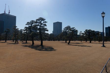 2018-02-08-Tokyo-078.jpg