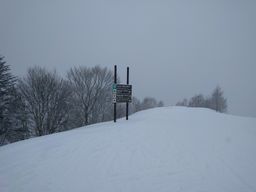 2018-02-12-Yudanaka-017.jpg