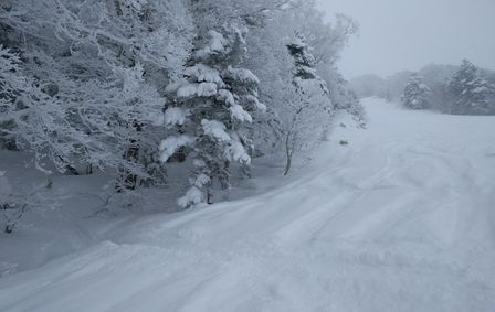 2018-02-13-Yudanaka-032.jpg