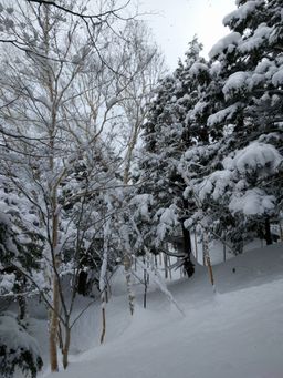 2018-02-13-Yudanaka-041.jpg