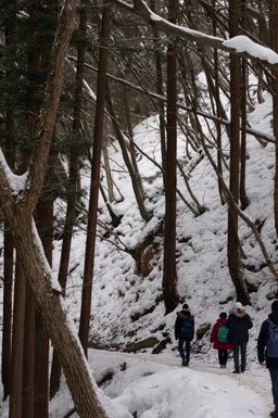 2018-02-15-Yudanaka-059.jpg