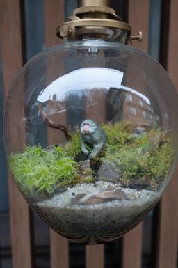 2018-02-15-Yudanaka-094.jpg
