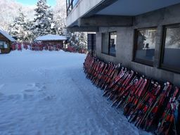 2018-02-16-Yudanaka-107.jpg