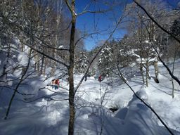 2018-02-16-Yudanaka-112.jpg