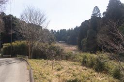 2018-02-18-Sosa-009.jpg