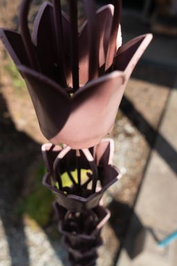 2018-02-18-Sosa-024.jpg