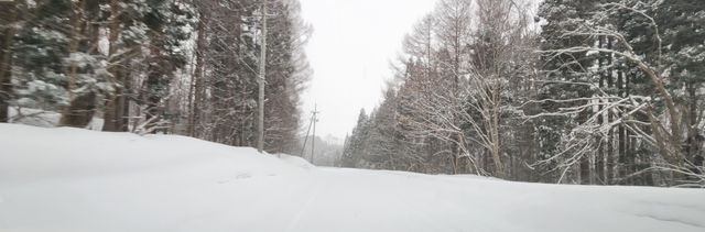 2023-01-16-Aomori-004.jpg