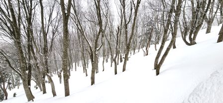 2023-01-16-Aomori-010.jpg