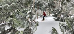 2023-01-16-Aomori-012.jpg