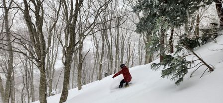 2023-01-16-Aomori-013.jpg