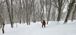 2023-01-16-Aomori-014.jpg