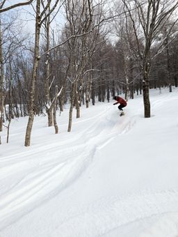 2023-01-16-Aomori-024.jpg