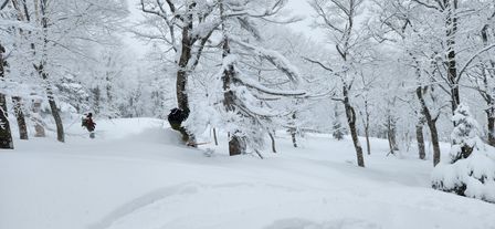 2023-01-17-Aomori-005.jpg
