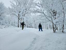 2023-01-17-Aomori-006.jpg