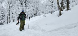 2023-01-17-Aomori-007.jpg
