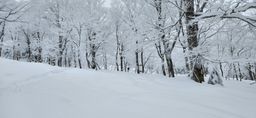 2023-01-17-Aomori-008.jpg