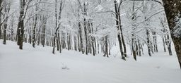 2023-01-17-Aomori-012.jpg