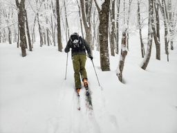 2023-01-17-Aomori-017.jpg