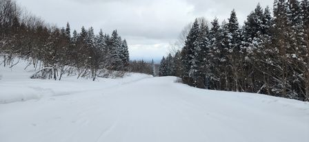 2023-01-18-Aomori-005.jpg