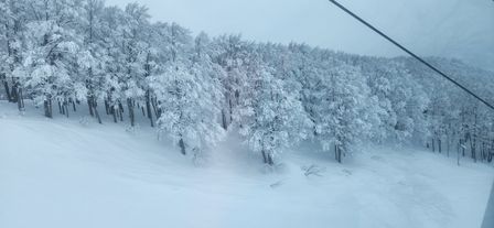 2023-01-18-Aomori-007.jpg