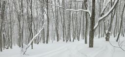 2023-01-18-Aomori-013.jpg