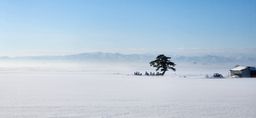 2023-01-19-Aomori-004.jpg