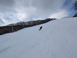 2023-01-19-Aomori-037.jpg