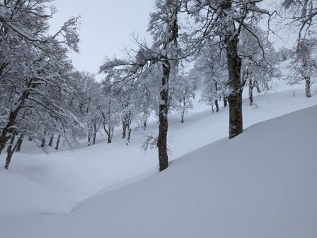 2023-01-20-Aomori-001.jpg