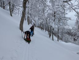 2023-01-20-Aomori-002.jpg
