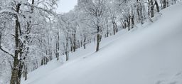 2023-01-20-Aomori-004.jpg