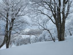 2023-01-20-Aomori-008.jpg