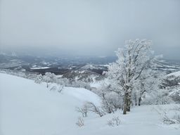2023-01-20-Aomori-013.jpg