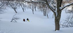 2023-01-20-Aomori-018.jpg