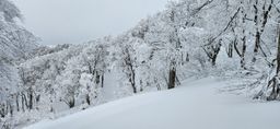 2023-01-20-Aomori-022.jpg