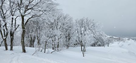 2023-01-20-Aomori-024.jpg