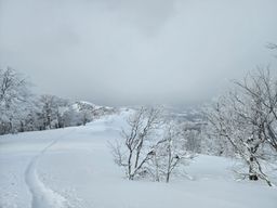 2023-01-20-Aomori-028.jpg