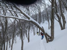2023-01-20-Aomori-036.jpg
