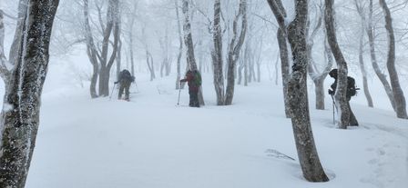 2023-01-21-Aomori-012.jpg