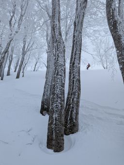 2023-01-21-Aomori-027.jpg