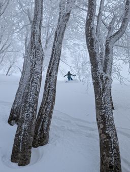 2023-01-21-Aomori-028.jpg