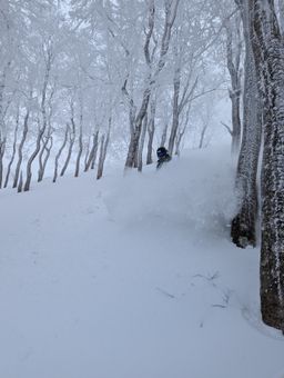 2023-01-21-Aomori-029.jpg