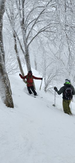 2023-01-21-Aomori-033.jpg