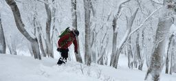 2023-01-21-Aomori-034.jpg
