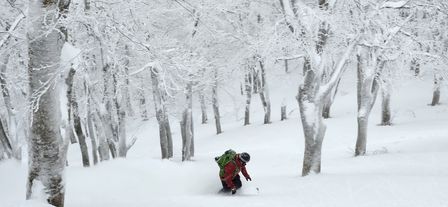 2023-01-21-Aomori-035.jpg
