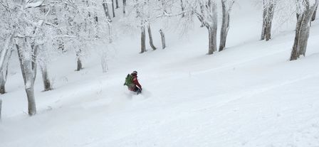 2023-01-21-Aomori-036.jpg