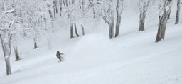 2023-01-21-Aomori-037.jpg